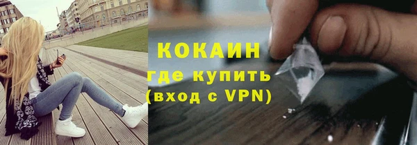 гашик Алексин