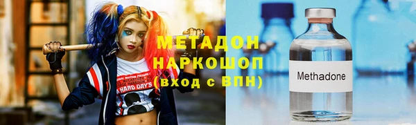 гашик Алексин