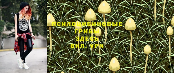 прущий лед Абдулино