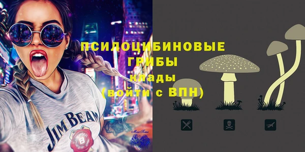гашик Алексин