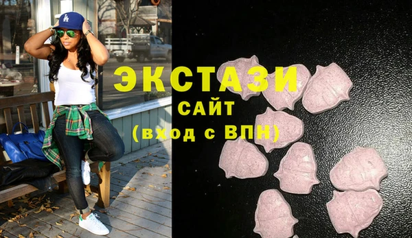 гашик Алексин