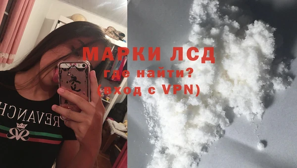 гашик Алексин