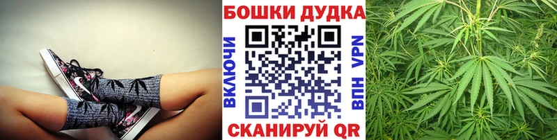 где купить наркотик  Фатеж  Канабис семена 